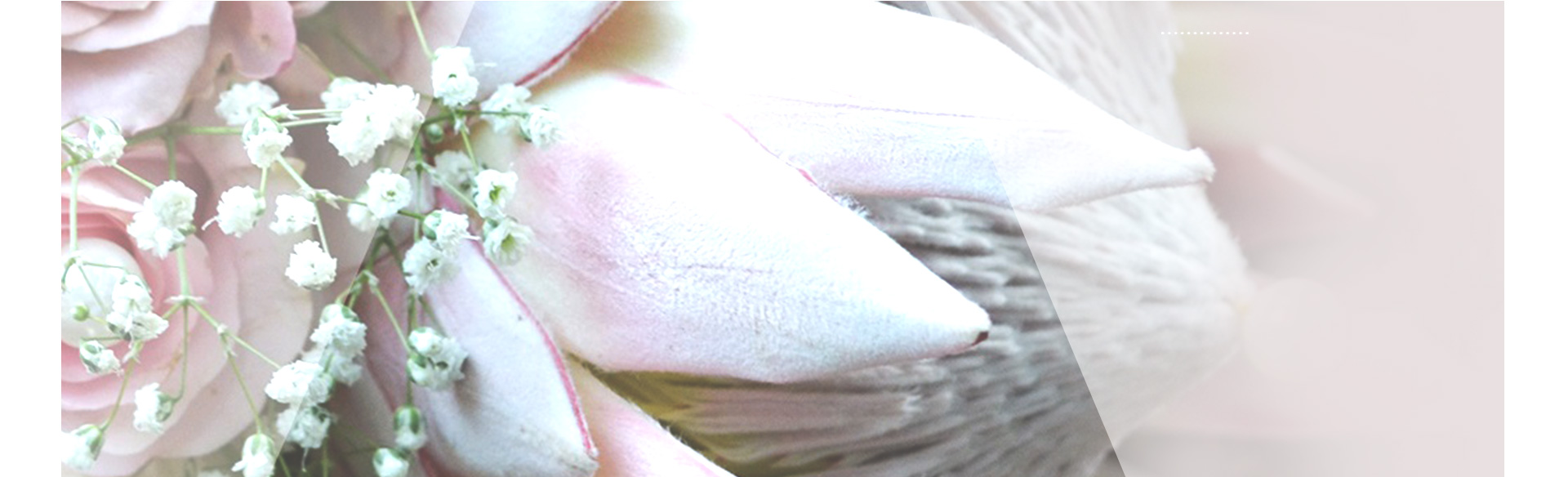about-banner